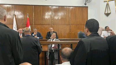 المحكمة الإدارية العليا تبدأ في نظر الطعن المقدم من هيثم الحريري على استبعاده من انتخابات مجلس النواب