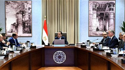 مصر تسعى لمواكبة الدول المتقدمة في الألعاب الفردية