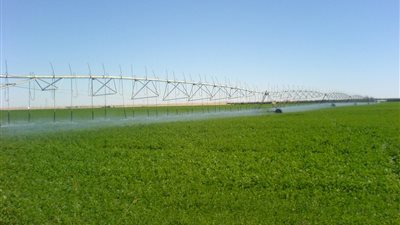 2.7% زيادة فى إجمالى المساحة المنزرعة عام 2023/ 2024