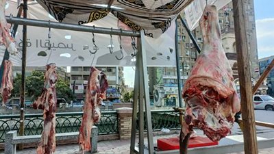 بحث آليات تنفيذ مبادرتين جديدتين لتوفير اللحوم والسلع الأساسية بأسعار مخفضة