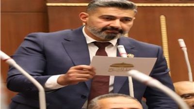 حماية الفنان وكرامته واجب وطني وثقافي