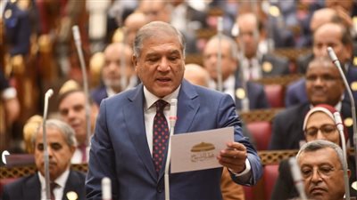 دعم السياسة الخارجية والملف الاقتصادي وفرض السلام في المنطقة على رأس أولوياتي بلجنة العلاقات الخارجية بالشيوخ