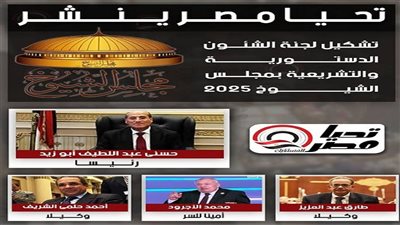 برئاسة أبو زيد.. تحيا مصر ينشر تشكيل هيئة مكتب لجنة الشئون الدستورية والتشريعية بمجلس الشيوخ