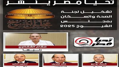 برئاسة الششتاوى.. تحيا مصر ينشر تشكيل هيئة مكتب لجنة الصحة بمجلس الشيوخ