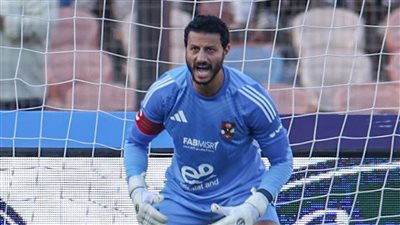 الشناوي يعاني من إجهاد في العضلة الضامة وتوروب فضل إراحته أمام إيجل نوار