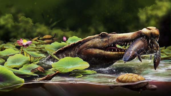 وزير التعليم العالي يهنئ جامعة المنصورة بمناسبة اكتشاف عالمي جديد