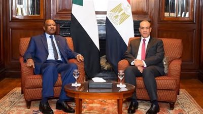 أمن السودان واستقراره يعدان جزءاً لا يتجزأ من أمن واستقرار المنطقة