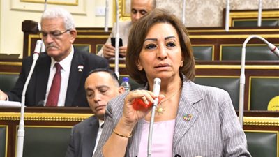 اخترنا المشاركة لا المشاهدة.. والمعارضة موجودة لتوصيل صوت الشعب