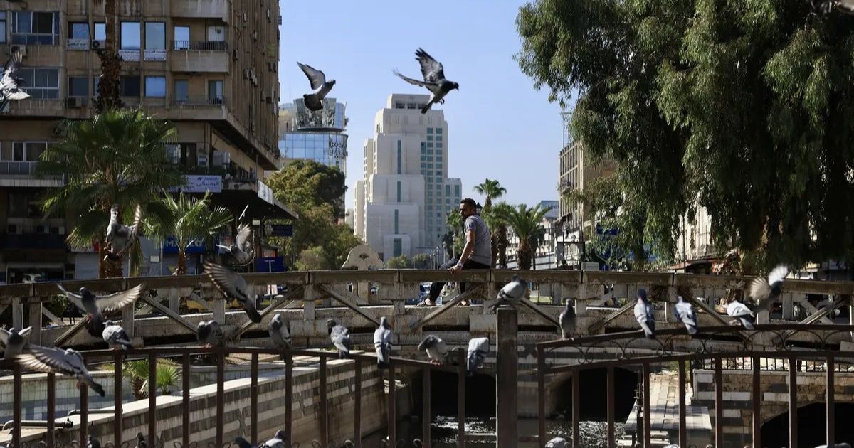 سوريا تخطط لجولة ترويجية لجذب الاستثمارات بعد رفع العقوبات