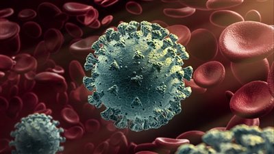 تصريح عاجل من متحدث الصحة بشأن مرض HFMD