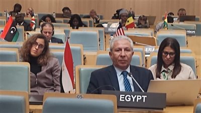 تحقيق الأمن الغذائي أولوية.. مصر تشارك في الاجتماع الوزاري للجنة مصايد الأسماك والاستزراع المائي بالاتحاد الإفريقي