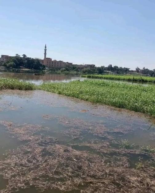 بعد تحذيرات مدبولي.. المياه تجتاح قرى طرح النيل في المنوفية (فيديو)