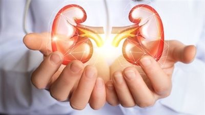 الكلى في خطر.. 7 عادات يومية تسبب تلف الكلى بصمت وتأثيرها على صحتك العامة
