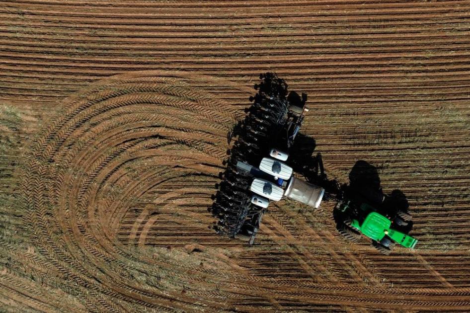 الصين تحوّل مسار الصويا.. وعوائد أمريكا من أي صفقة محدودة