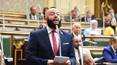 حزب النور يوافق على تقرير اللجنة العامة بشأن اعتراضات الرئيس على مشروع قانون الإجراءات الجنائية