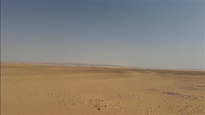 320 ألف فدان.. بحوث الصحراء يطلق خطة لحصر أراضي توشكى