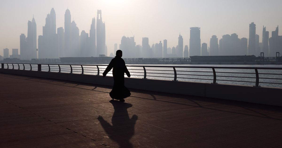 “ستاروود” تحصل على ترخيص مكتب بدبي وتدرس الاستثمار في الخليج