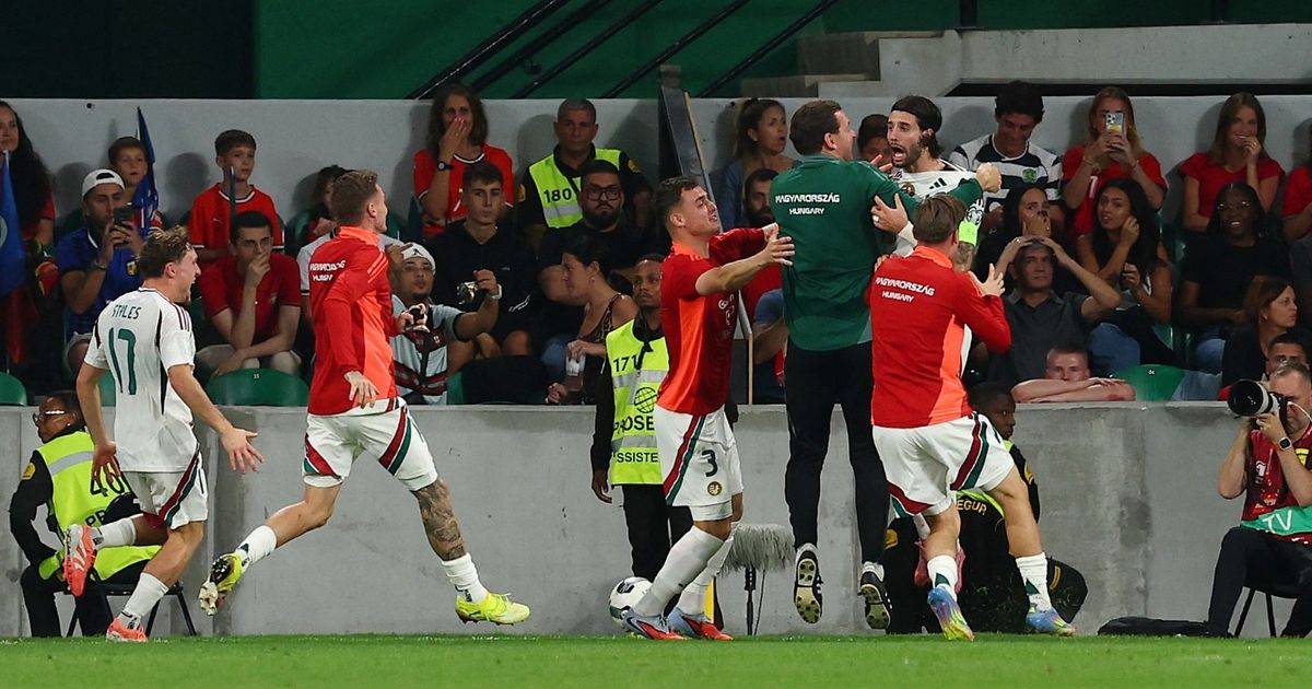 سوبوسلاي يُفسد احتفالات رونالدو بتعادل المجر مع البرتغال