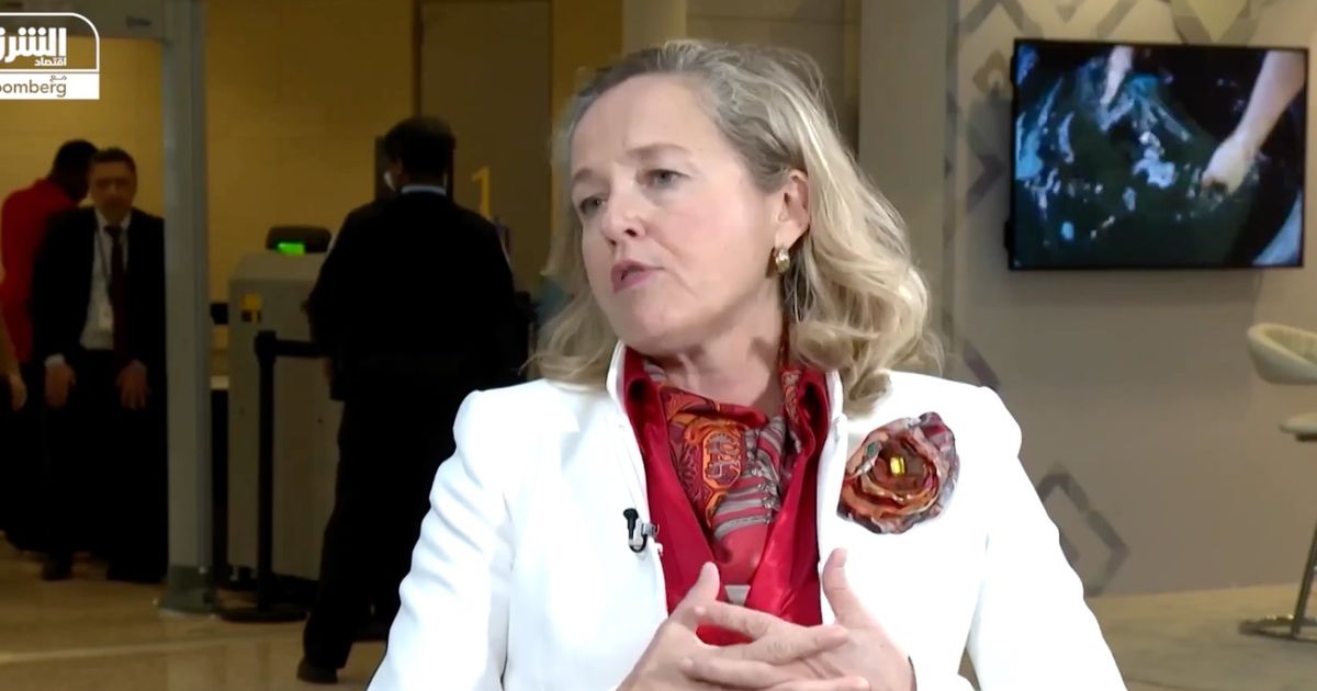 “الأوروبي للاستثمار” يوسع مشروعاته في مصر لدعم الشركات الناشئة