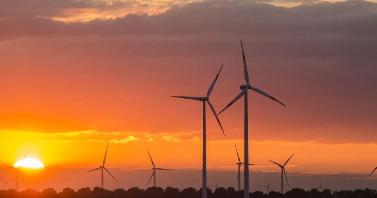 5 شركات عالمية تفحص محطة رياح جبل الزيت في مصر بغرض الاستحواذ