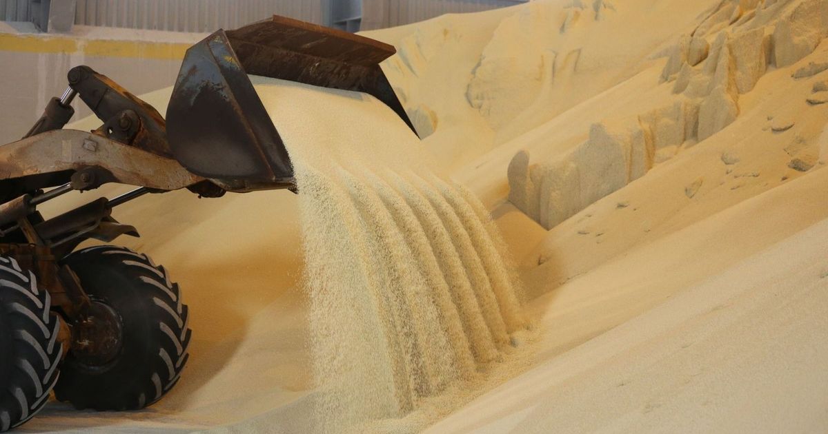 “شلاتين” المصرية تدخل مجال الفوسفات من بوابة الصحراء الشرقية