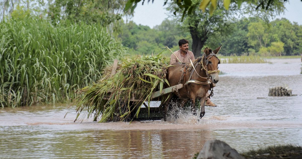 اتفاق بين باكستان وصندوق النقد على تمويل يفوق مليار دولار