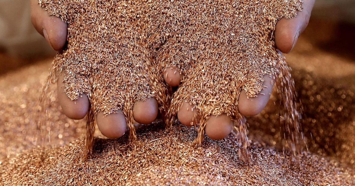 سعر النحاس يتجه لأكبر خسائر يومية في 5 أشهر بعد تصريحات ترمب