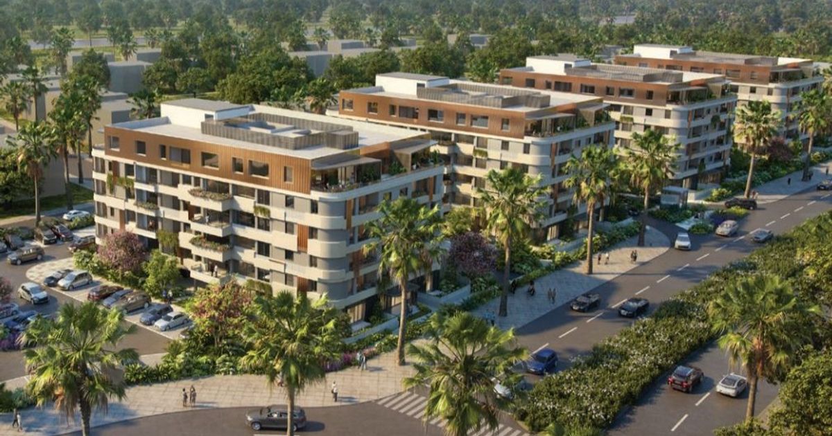 مصر تختبر شهية المطورين للمشاريع الخضراء بحوافز لـ6 أشهر