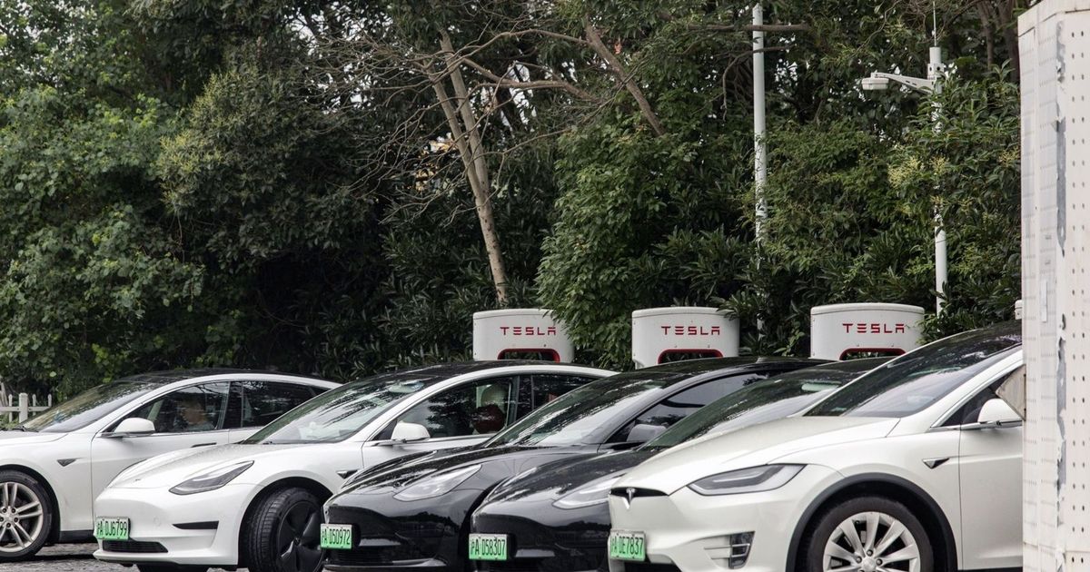 “تسلا” تخطط للكشف عن نسخة أرخص من “Model Y” لتعويض غياب الحوافز