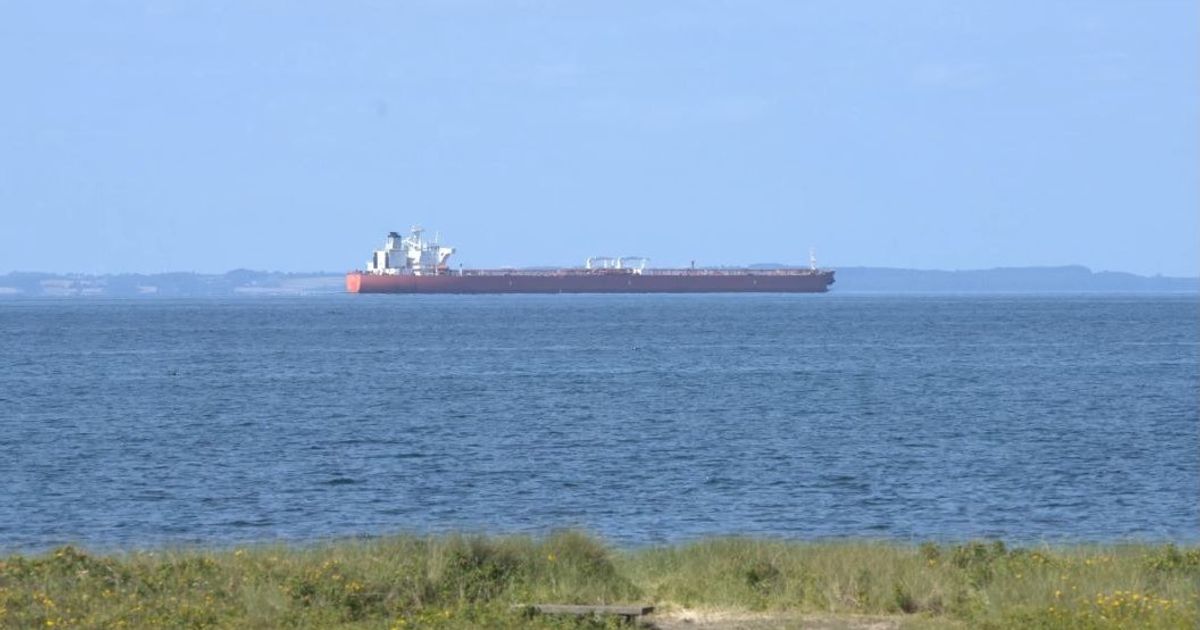 ترمب: الهند ستقلص مشترياتها من النفط الروسي