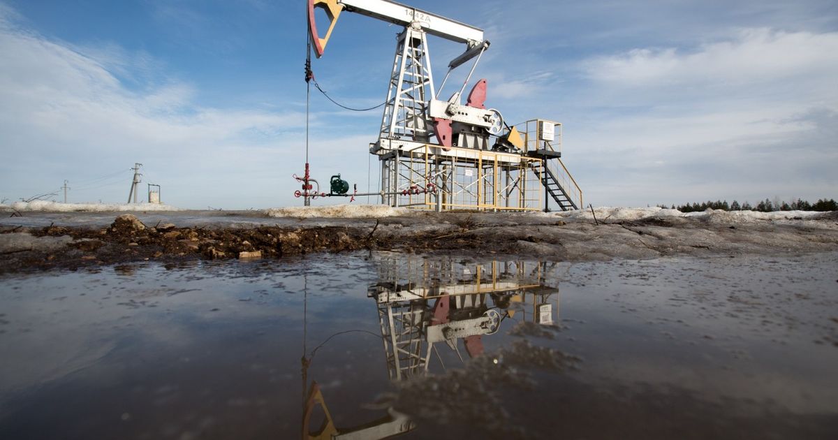 سيتي غروب: النفط قد يهبط إلى 50 دولاراً مع تراجع حدة حرب أوكرانيا