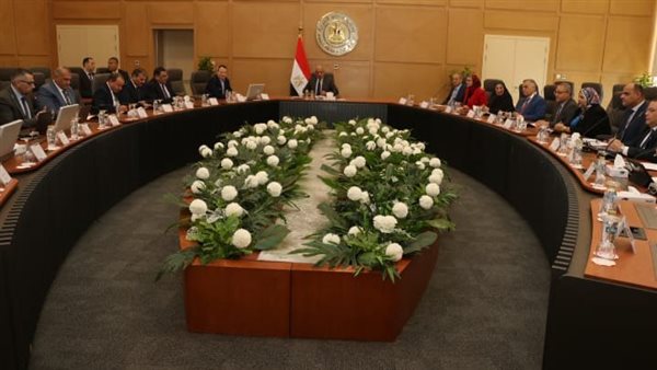 وزير الكهرباء 