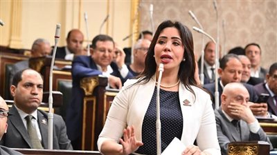 نائبة التنسيقية غادة علي توافق على اتفاق “التعاون المالي بين مصر و العربية وألمانيا.. وتؤكد أهمية سرعة معدلات الإنجاز