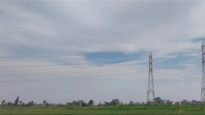 شبورة كثيفة وأمطار خفيفة.. خريف نوفمبر يبدأ بتقلبات