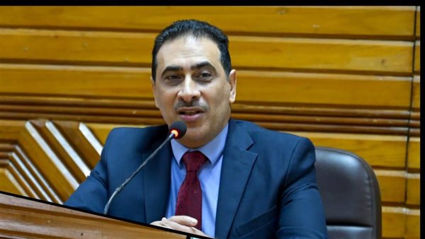 جامعة القاهرة تنظم ورشة العمل الثانية حول النزاهة الأكاديمية وأخلاقيات البحث العلمي