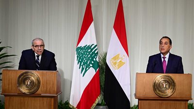 نُقدر الدور الرائد لمصر بقيادة الرئيس السيسي في دعم الاستقرار الإقليمي