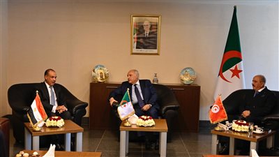 «أمن ليبيا جزء لا يتجزأ من الأمن القومي المصري».. رسائل هامة من وزير الخارجية خلال اجتماع الآلية الثلاثية لدول جوار ليبيا