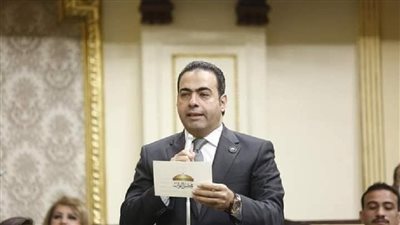 اتحاد شباب المصريين بالخارج يدعو أبناء الجاليات المصرية للمشاركة في انتخابات النواب