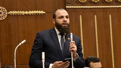 حزب النور سيظل صوتًا إصلاحيًا داخل البرلمان ويدعم المشاركة السياسية الجادة