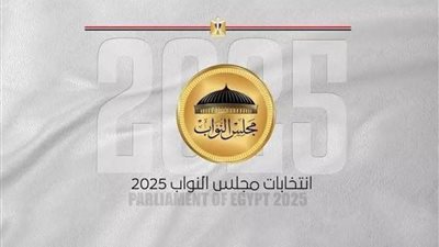 المصريون في بلغاريا رومانيا و روسيا و تركيا يواصلون المشاركة في انتخابات مجلس النواب 2025