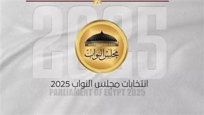لليوم الثاني.. فتح لجان التصويت في انتخابات مجلس النواب 2025 بـ 24 دولة حول العالم