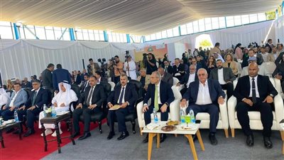 بسعة 2.3 مليون نخلة.. إنشاء أكبر مزرعة نخيل في العالم بمنطقتي توشكى والعوينات