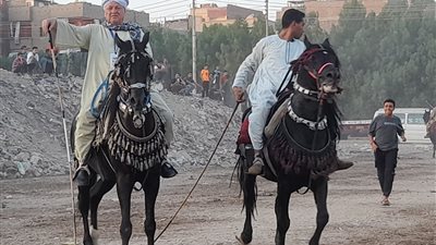 صور| ليلة من سحر التراث.. أغانٍ وألعاب شعبية تزين مهرجان قنا للفنون