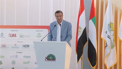 20 مليون نخلة و105.62 مليون دولار صادرات.. مصر تتألق في مهرجان التمور