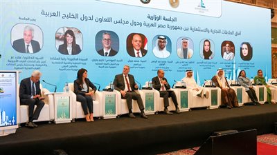 مصر تمتلك بنية تحتية قوية في مجال البترول والغاز