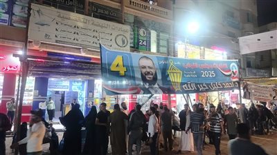 استمرار الإقبال أمام لجان النهضة بالعامرية في انتخابات مجلس النواب 2025