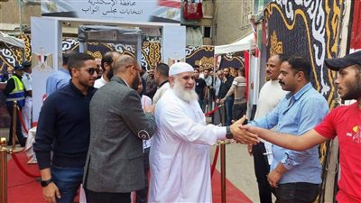 رافعين الأعلام المصرية.. إقبال كثيف على لجان الإسكندرية في انتخابات مجلس النواب 2025