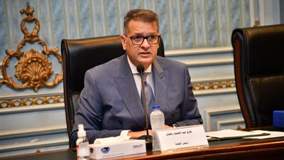 الإقبال الكبير على الانتخابات ترجمة لوعي المصريين.. والحقوق السياسية تتصدر المشهد في عهد الرئيس السيسي