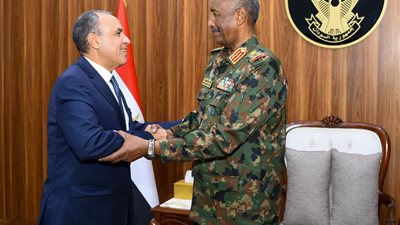 مصر تؤكد تضامنها الكامل مع السودان
