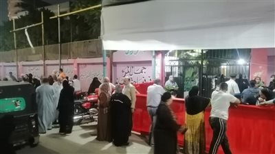 “قوة الوطن التي لا تغيب”.. المرأة المصرية تتصدر المشهد أمام صناديق انتخابات مجلس النواب